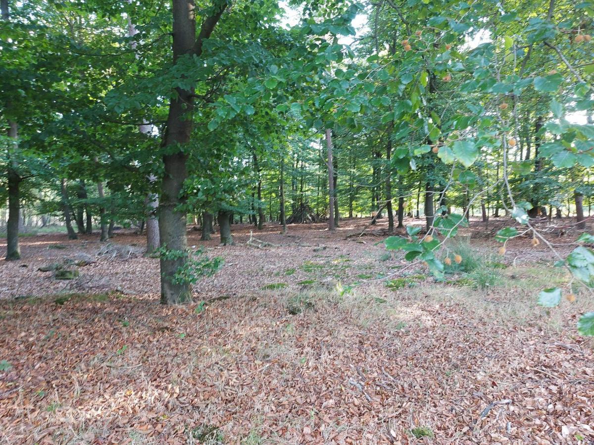 Chalet Wanama. Gelegen Op Het Vakantiepark Het Lierderholt Op De Veluwe. Villa Beekbergen Eksteriør bilde