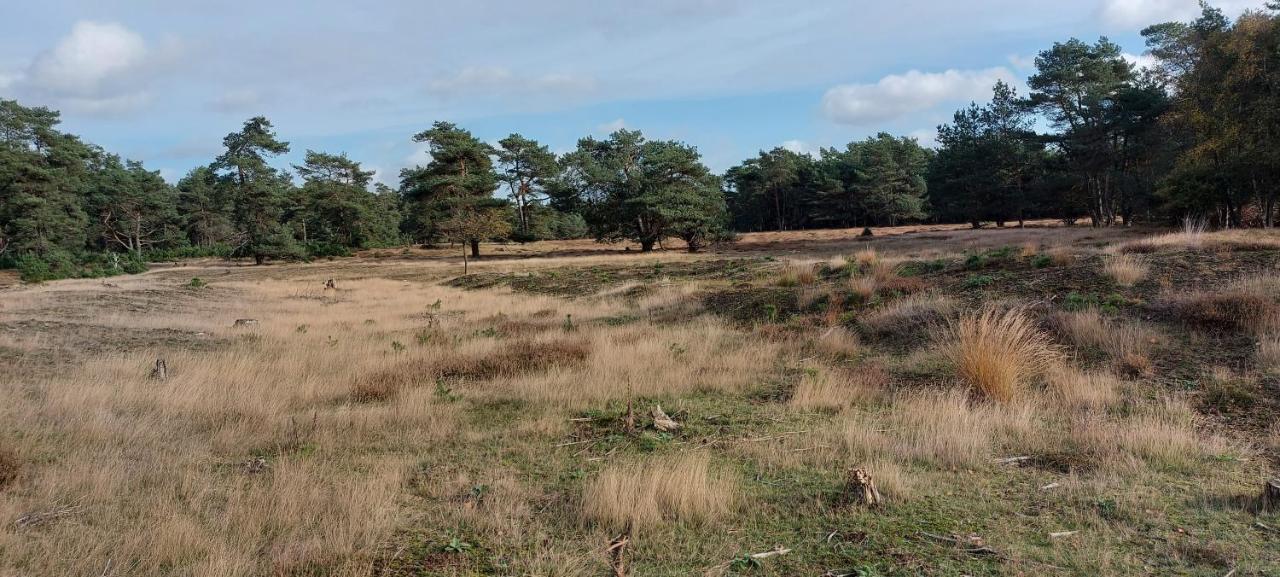 Chalet Wanama. Gelegen Op Het Vakantiepark Het Lierderholt Op De Veluwe. Villa Beekbergen Eksteriør bilde
