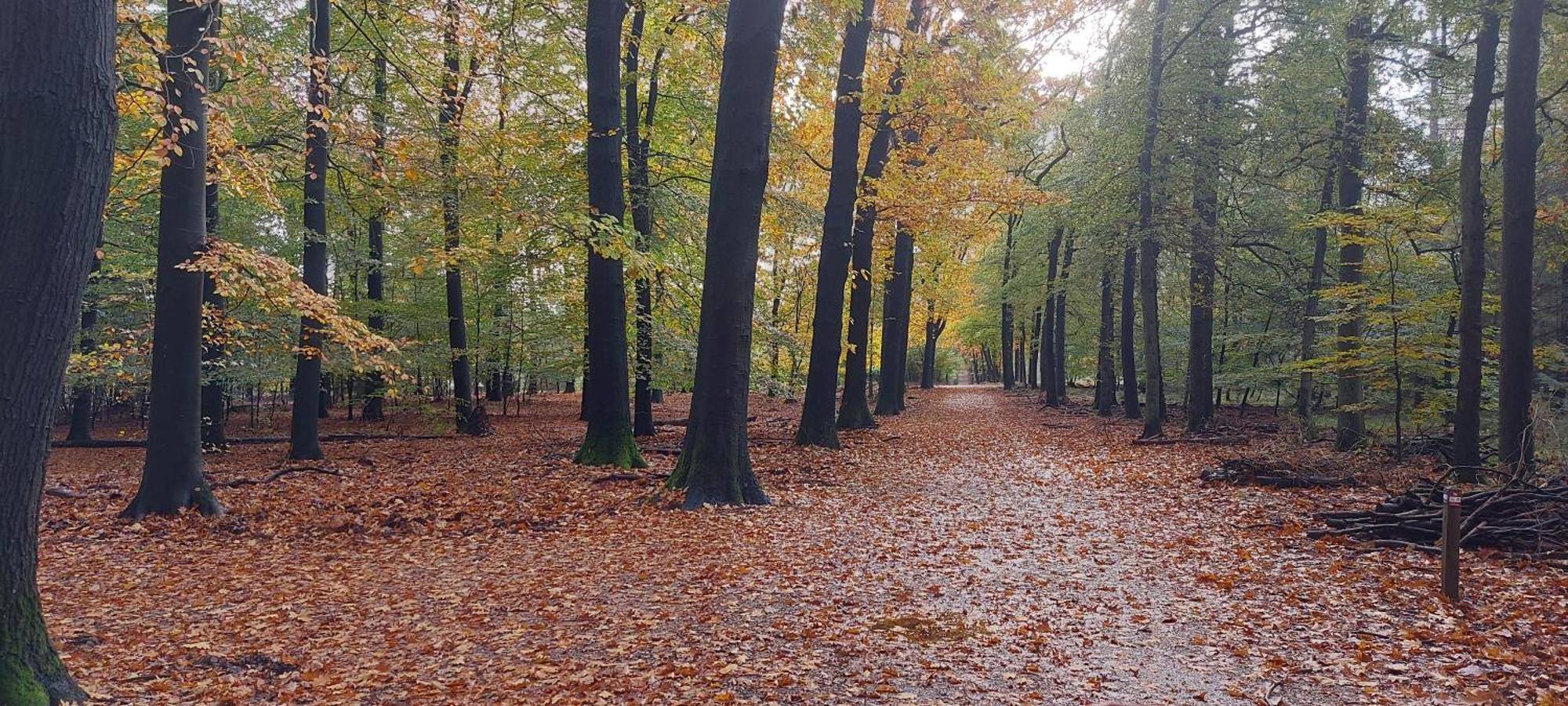 Chalet Wanama. Gelegen Op Het Vakantiepark Het Lierderholt Op De Veluwe. Villa Beekbergen Eksteriør bilde